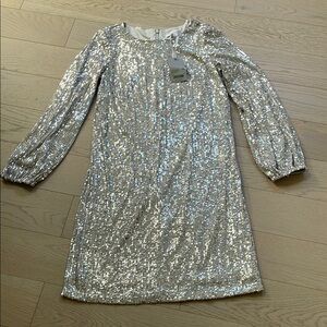 Preston & York Silver Sequin Dress
